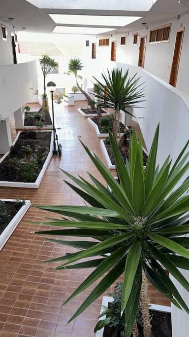 Ferienwohnung Modern,Strandnaehe, Club Olympus, Garten City Tenerife Playa Feñabe Exterior foto